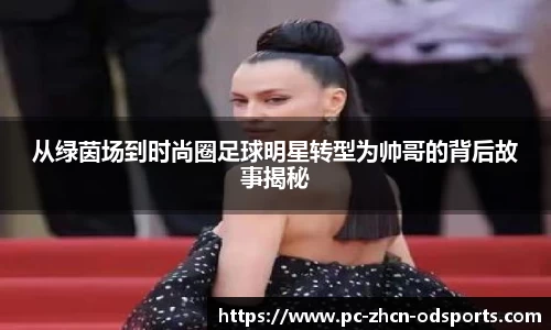 OD体育官网
